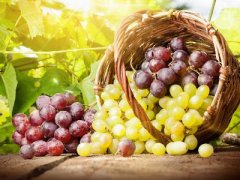 Начальный опыт виноградаря лучше приобретать на зимостойких сортах